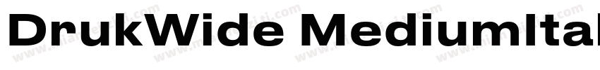 DrukWide MediumItalic字体转换
